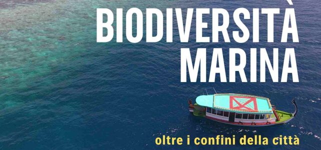 Biodiversità marina: oltre i confini della città